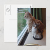  dag in het venster briefkaart (Voorkant / Achterkant)