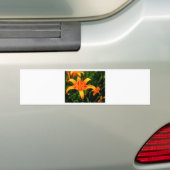 dag leugens.jpg bumpersticker (Op auto)
