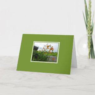 Dag Lilies en Blanco postbus-kaart Kaart