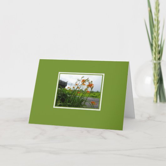 Dag Lilies en Blanco postbus-kaart Kaart (Voorkant)