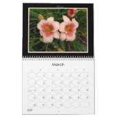 Dag Lily Agenda 2008 Kalender (Mar 2027)