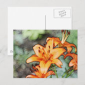 Dag Lily's Briefkaart (Voorkant / Achterkant)