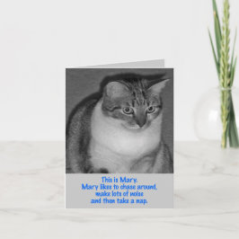 Dag na geboorte - Wees Mary Kaart