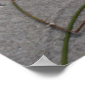 Dag 's middags poster (Hoek)