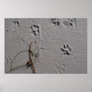 Dag 's middags poster