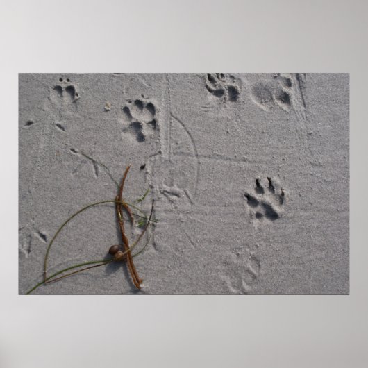 Dag 's middags poster (Voorkant)