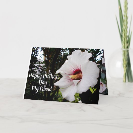 DAG TOT VRIEND KIJKEN. FEESTDAGEN KAART (Voorkant)