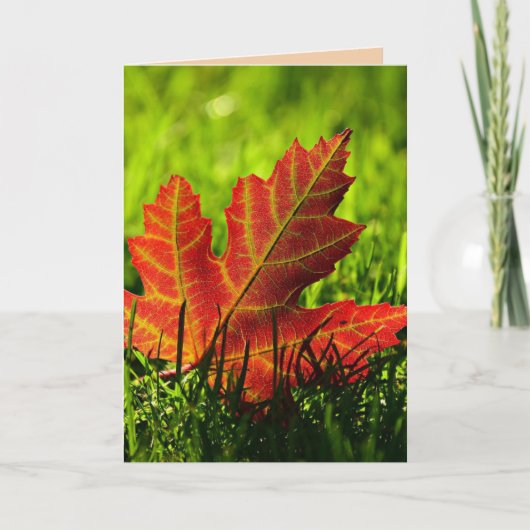 DAG VAN DANKBAARHEID HERFSTBLADEREN KAAART KAART (Voorkant)