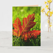 DAG VAN DANKBAARHEID HERFSTBLADEREN KAAART KAART (Gele Bloem)