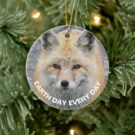 Dag van de Aarde Elke dag Fox Rood Fox Fox Fox Fox Keramisch Ornament