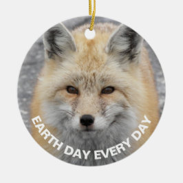 Dag van de Aarde Elke dag Fox Rood Fox Fox Fox Fox Keramisch Ornament
