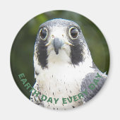 Dag van de Aarde Elke dag Peregrine Falcon Foto Magneet (Voorkant)