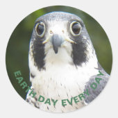 Dag van de Aarde Elke dag Peregrine Falcon Foto Ronde Sticker (Voorkant)
