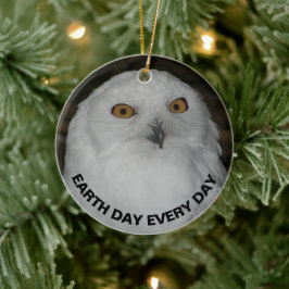 Dag van de Aarde elke dag Sneeuwuil Keramisch Ornament