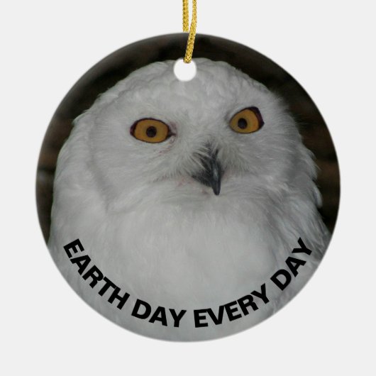 Dag van de Aarde elke dag Sneeuwuil Keramisch Ornament (Voorkant)