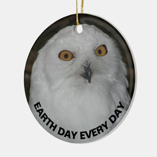 Dag van de Aarde elke dag Sneeuwuil Keramisch Ornament (Links)