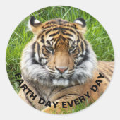 Dag van de Aarde Elke dag Sumatran Tiger Foto Ronde Sticker (Voorkant)