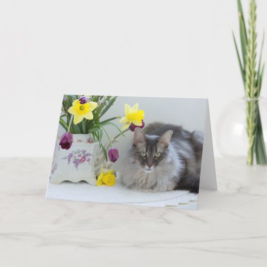 Dag van de broers en zussen wenskaart kaart (Voorkant)