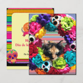 Dag van de dode kat feestdagenkaart (Voorkant / Achterkant)