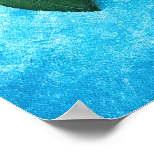 Dag van de dode kat, Poster van de suikerschedel (Hoek)