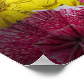 Dag van de dood - Doodmasker Poster (Hoek)