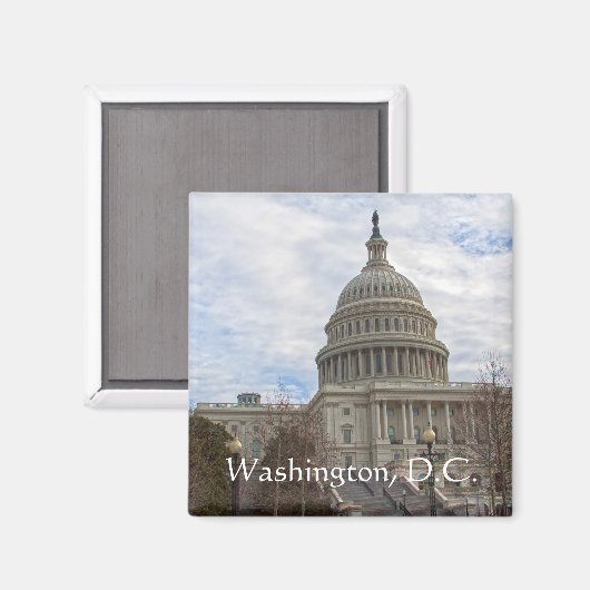 Dag van de troebel in het Capitol Magneet (Voorkant / Achterkant)