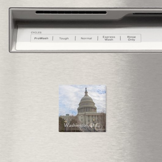 Dag van de troebel in het Capitol Magneet (Insitu (Vaatwasser))