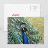 Dag van de valentijn: Peacock Briefkaart (Voorkant / Achterkant)