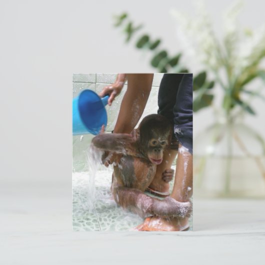 Dag van het Dierenbad Baby Briefkaart (Staand voorkant)