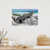 Dag van Iguana Poster (Keuken)