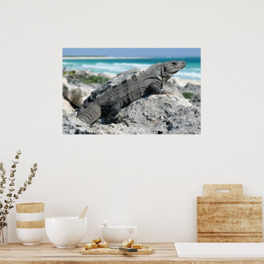 Dag van Iguana Poster (Keuken)