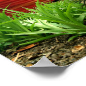 Dag van Romance Poster (Hoek)