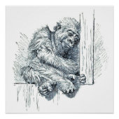 Dag van Rust - Young Ape Gorilla Perfect Poster (Voorkant)