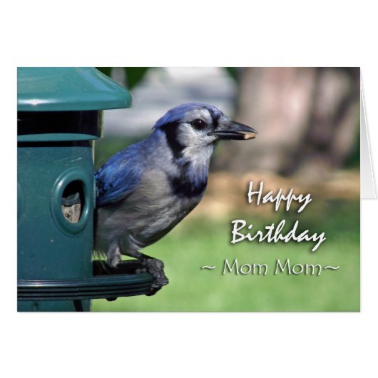 Dag voor mama, Blue Jay in Bird Feeder (Voorkant Horizontaal)