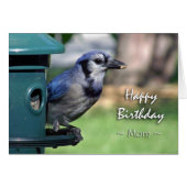 Dag voor mama, Blue Jay in Bird Feeder (Voorkant Horizontaal)