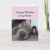 Dag voor mijn moeder Fun Dog Relax Humor Kaart (Voorkant)