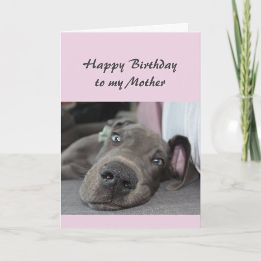 Dag voor mijn moeder Fun Dog Relax Humor Kaart (Voorkant)