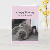 Dag voor mijn moeder Fun Dog Relax Humor Kaart (Gele Bloem)