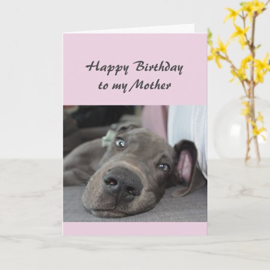 Dag voor mijn moeder Fun Dog Relax Humor Kaart (Gele Bloem)