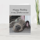 Dag voor mijn schoonvader Fun Dog Relax Humor Kaart (Voorkant)