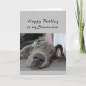 Dag voor mijn schoonzoon Fun Dog Relax Humor Kaart (Voorkant)