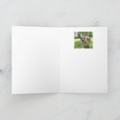 Dag voor Roo Fun Kangaroo Australia Animal art Kaart (Binnen)