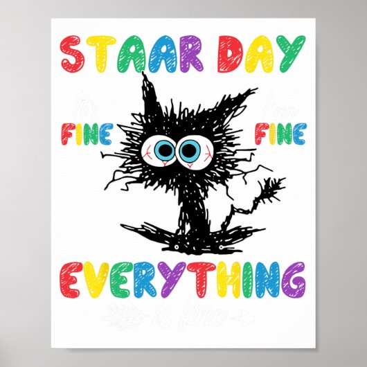 Dag Zwart Kat Leraar Student Kinder Staar Testen D Poster (Voorkant)