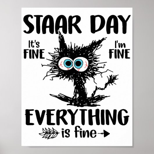 Dag Zwart Kat Leraar Student Kinder Staar Testen D Poster (Voorkant)