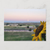 Dagdromen bij Dusk Sunflower Prarie Briefkaart (Voorkant)
