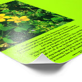 Dagdromen Inspirerend gedicht Foto Afdruk (Hoek)