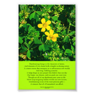 Dagdromen Inspirerend gedicht Foto Afdruk