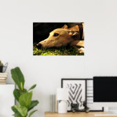 Dagdromen Poster (Thuiskantoor)