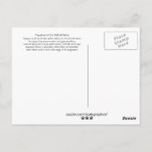 Dagdroom van de Daffodil Tabby Briefkaart (Achterkant)