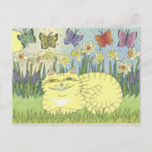 Dagdroom van de Daffodil Tabby Briefkaart (Voorkant)